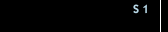 S 1